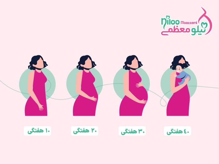 تغییرات فیزیولوژیک بارداری