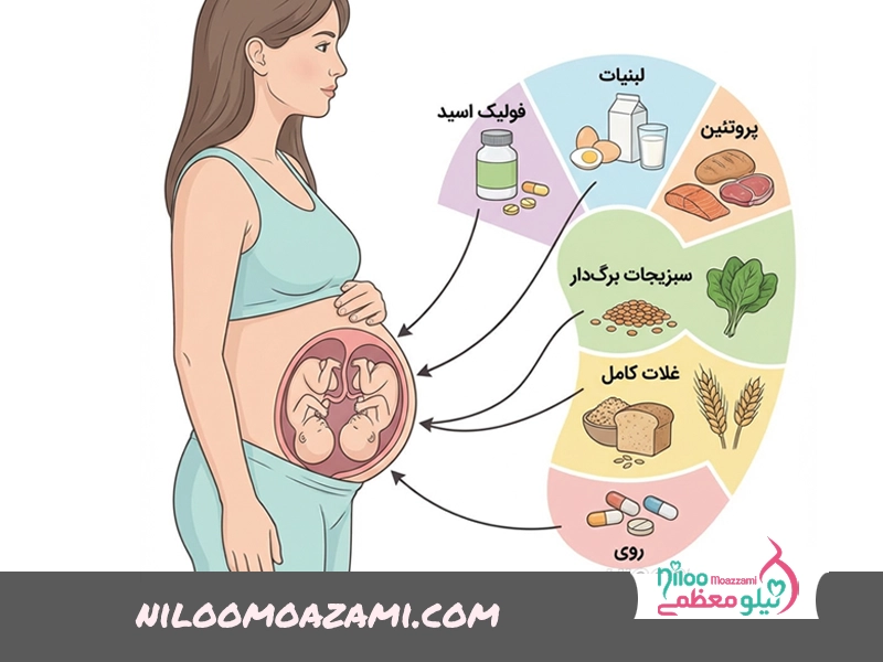 تغذیه قبل از بارداری برای دوقلو شدن